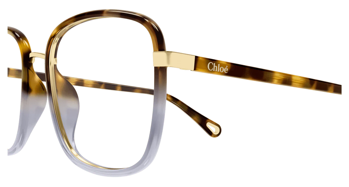 CH0034O - Havana, 53mm - Image 3