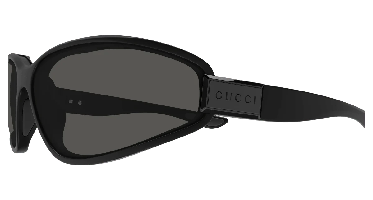 GG2011S - Image 3
