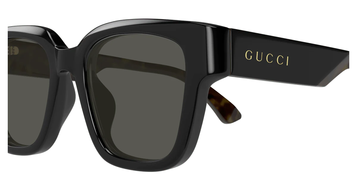 GG1670SK - Image 4