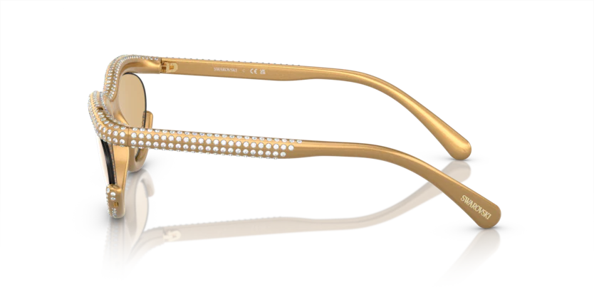SK6006 - Image 7