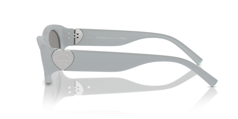 TF4222U - Image 12