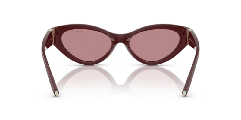 TF4225U - Image 13