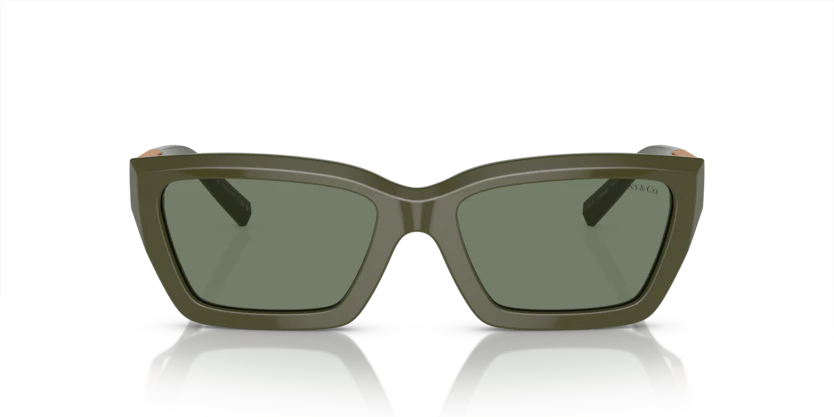 TF4213 - Image 14