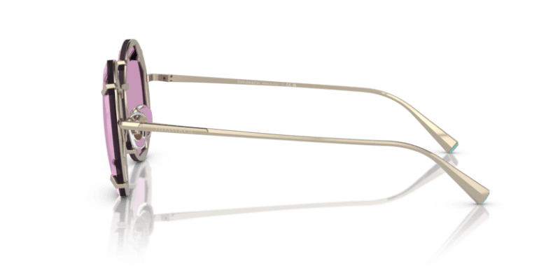 TF3091 - Image 12