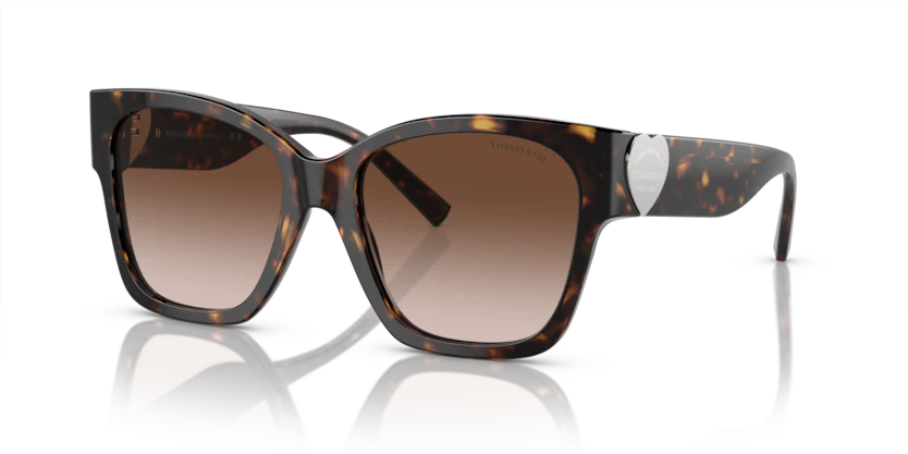 TF4216 - Image 21